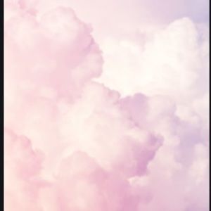 Meet your Posher, Lexi